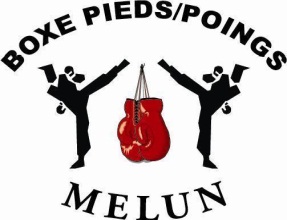 BOXE PIEDS-POINGS - logo BOXE PIEDS-POINGS - logo
